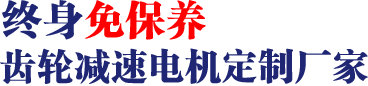 17年專注齒輪減速馬達、調速電機研發(fā)、生產